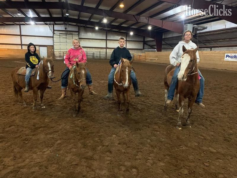 Quarter Horse - "Jimmy" Sorrel Gelding Quarter Horse in Texas