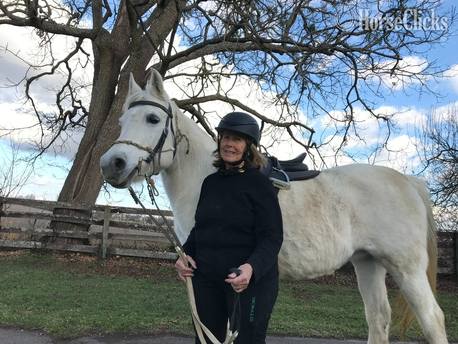 "SWF Fantasia" Grey Mare Arabian in Kentucky