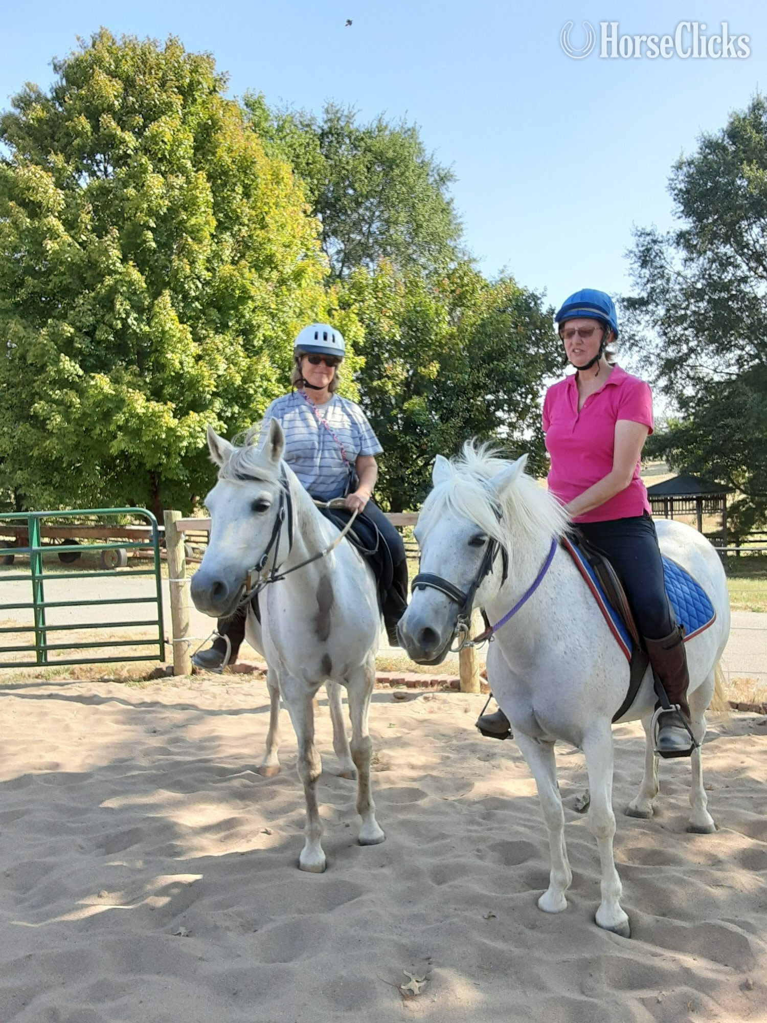 Kentucky "SWF Fantasia" Grey Mare Arabian