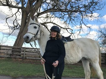 "SWF Fantasia" Grey Mare Arabian