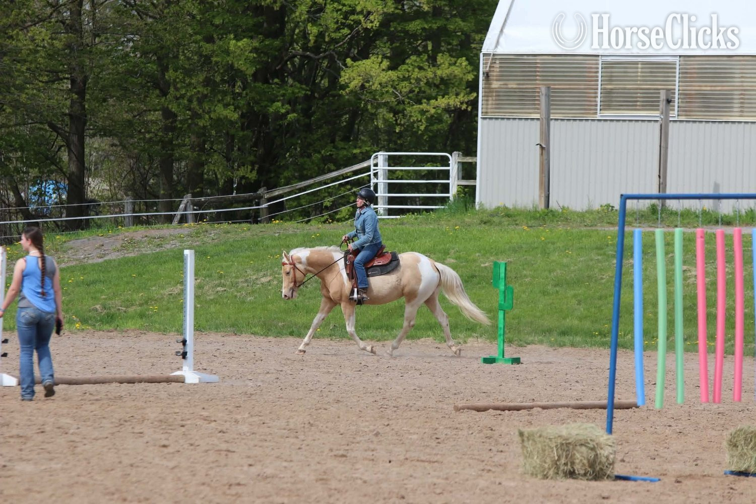 Paint - "On a Kizzin Streke" Champagne Gelding Paint in 