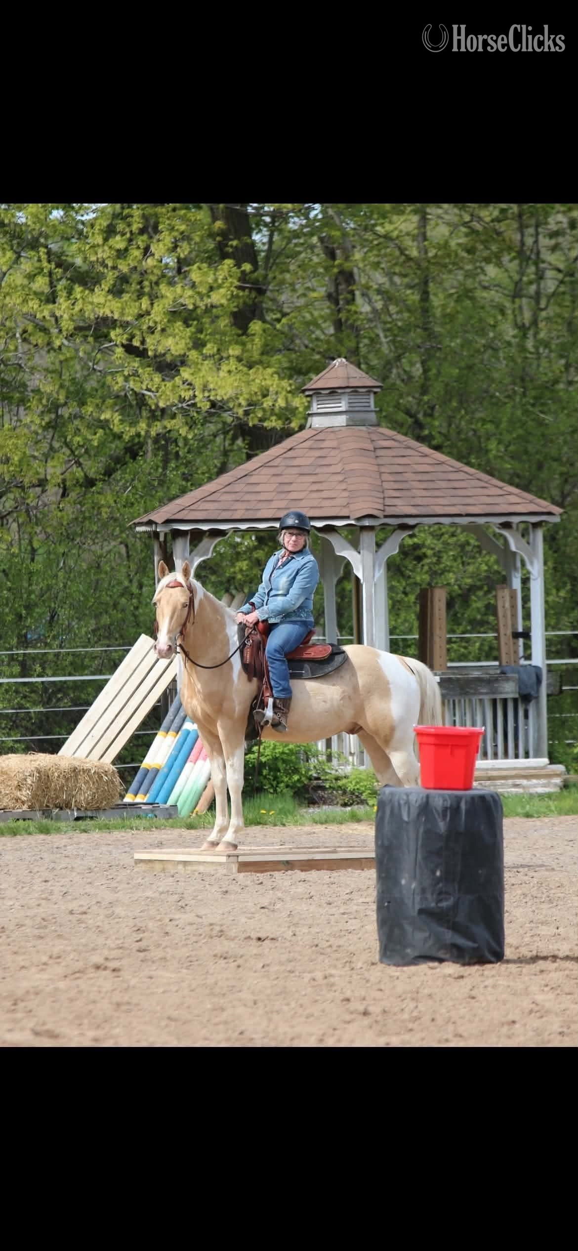 Paint - "On a Kizzin Streke" Champagne Gelding Paint