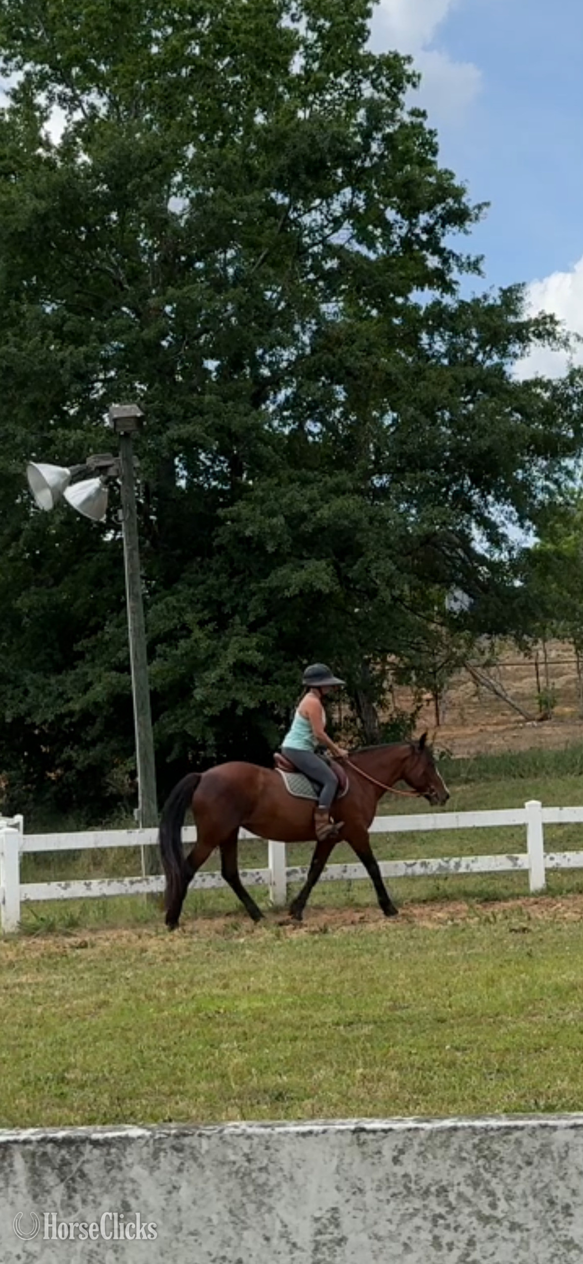 "Layla" Bay Mare Mustang in Georgia