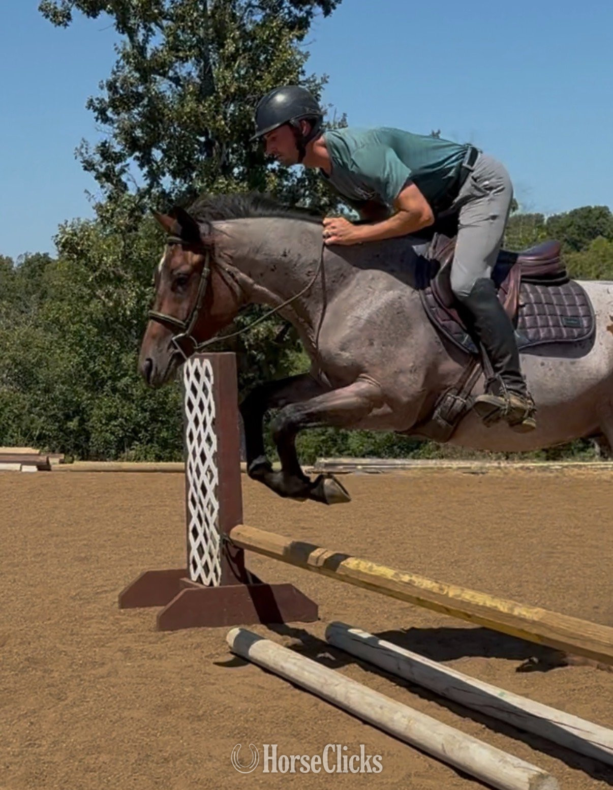 "LOPIN A GOODRIDE" Bay Roan Gelding Quarter Horse Arkansas