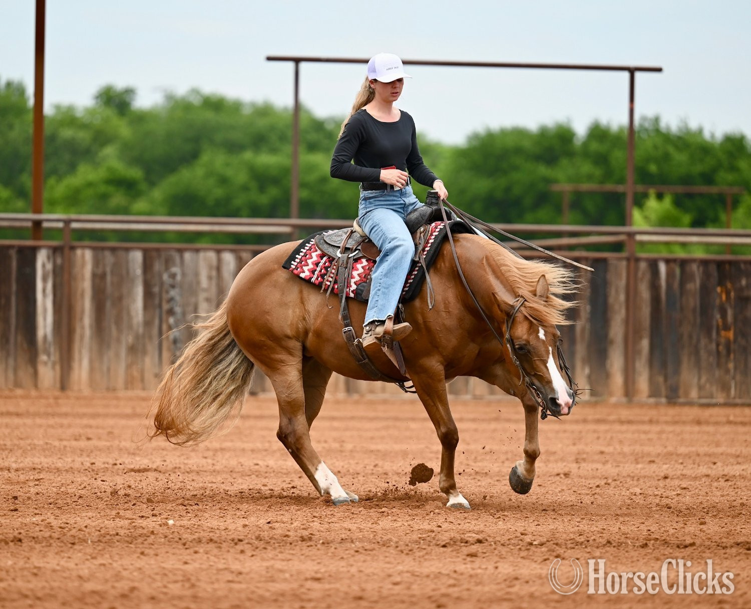 Quarter Horse - "Mamba" Sorrel Mare Quarter Horse