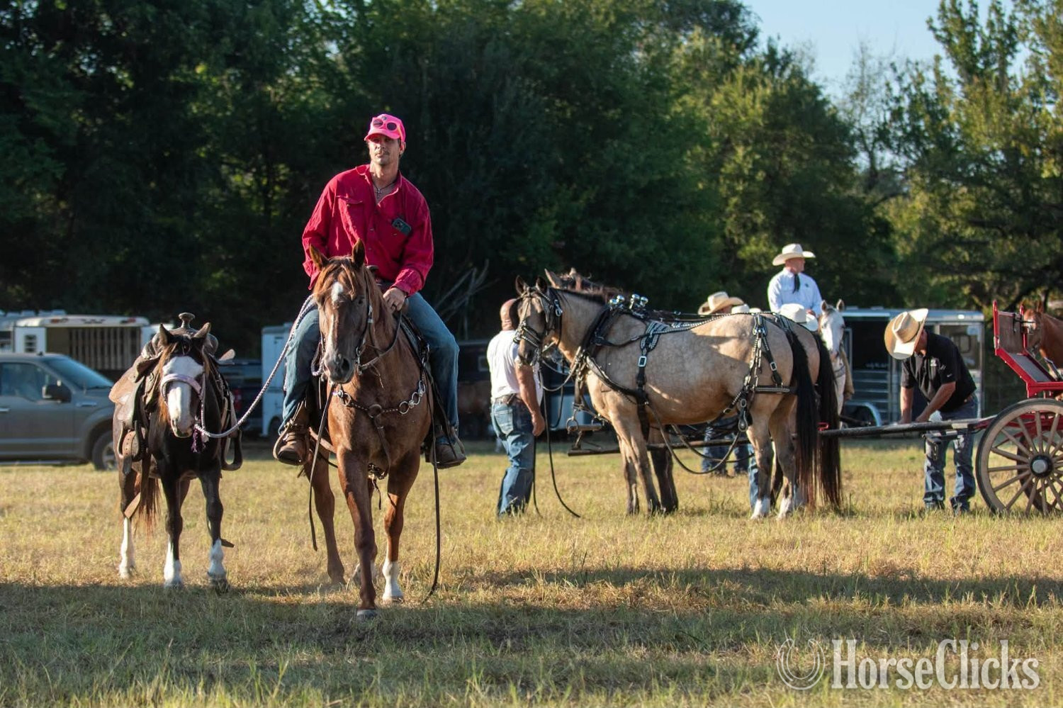"Roja" Red Roan Mare Quarter Horse
