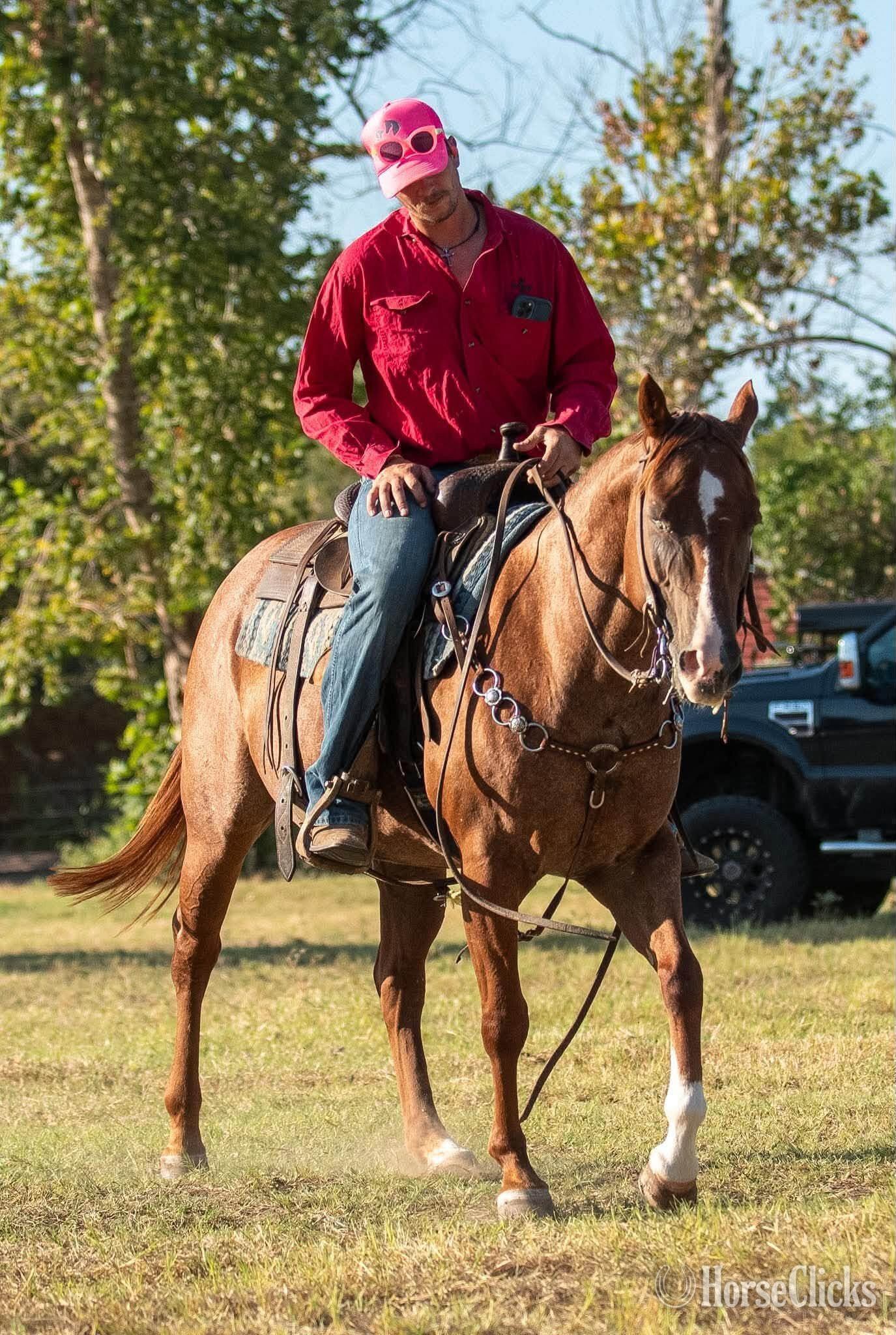 Texas "Roja" Red Roan Mare Quarter Horse