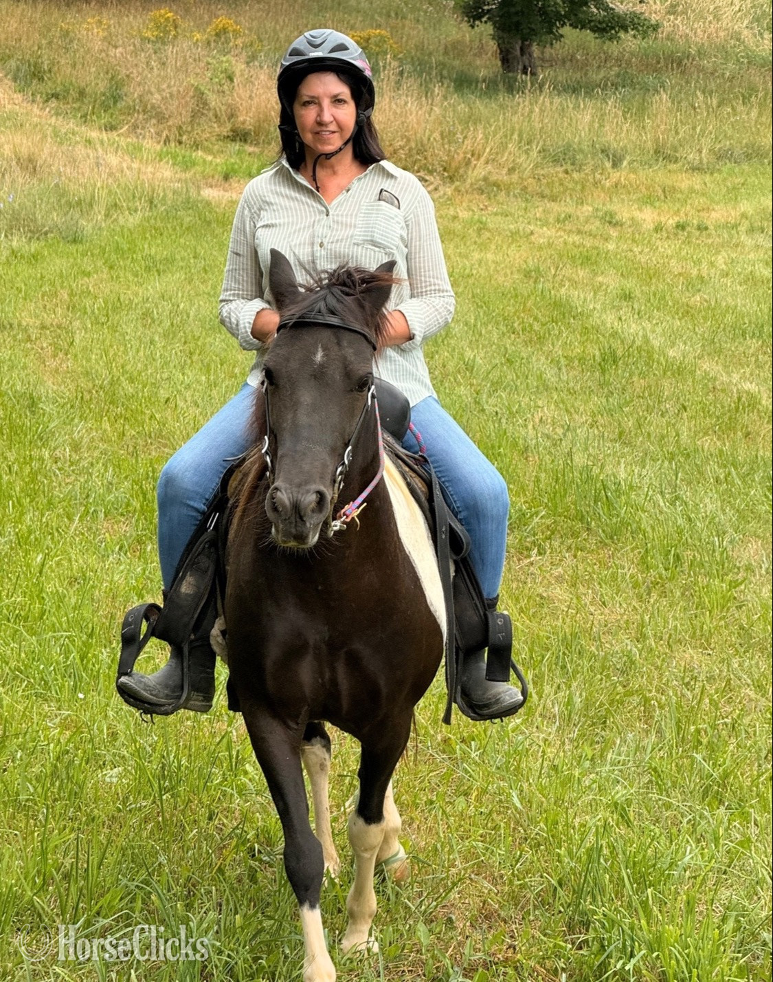 "Louise" Spotted Mare Pony in Michigan