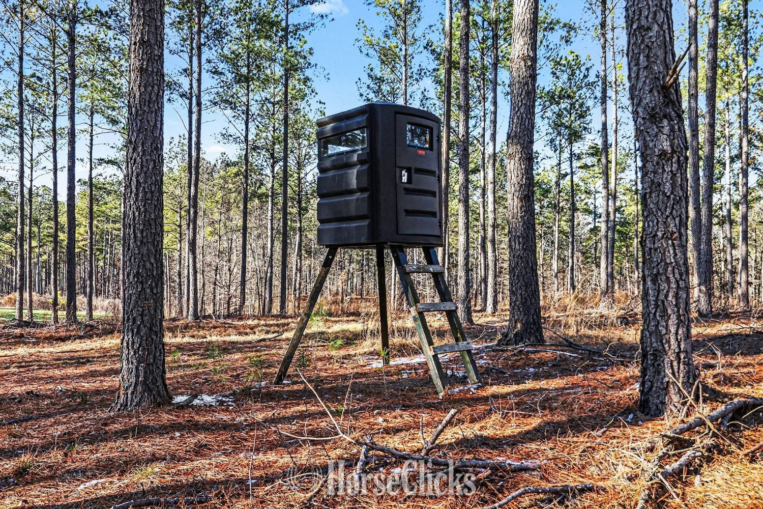 63 acres in Comer, GA in Georgia