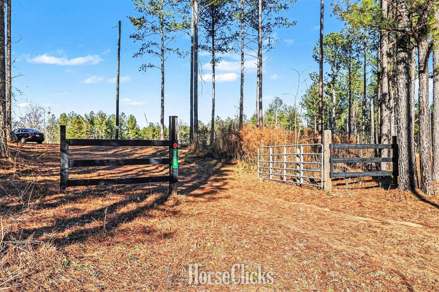 63 acres in Comer, GA