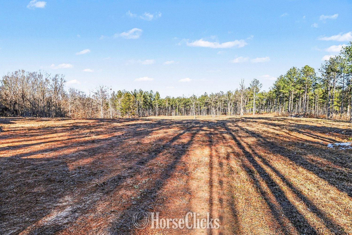 Georgia 63 acres in Comer, GA