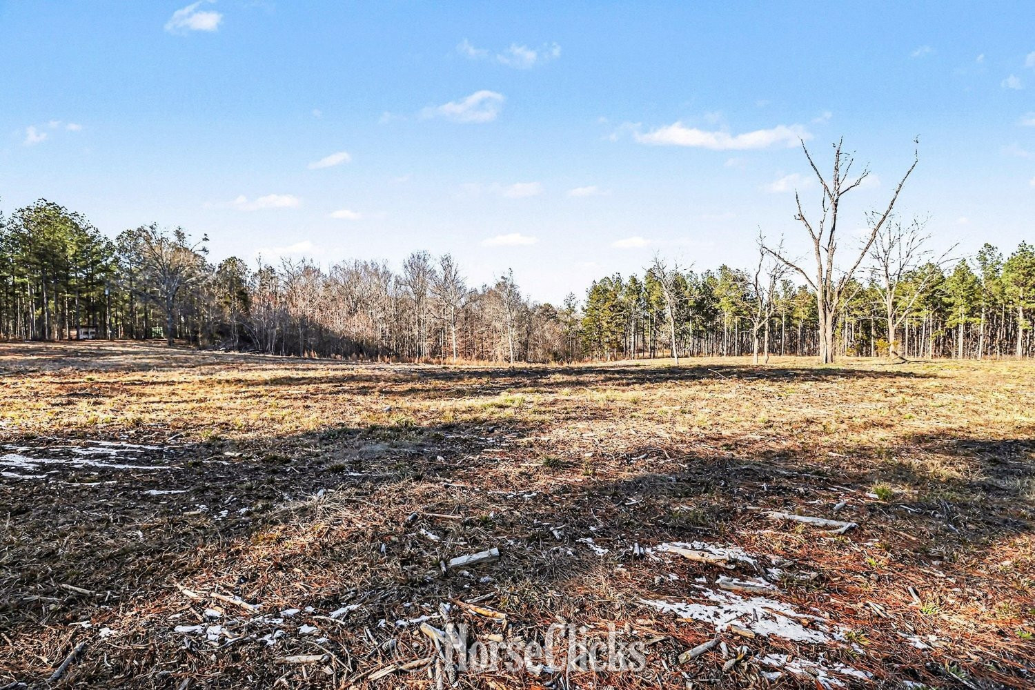 63 acres in Comer, GA - Land For Sale in Georgia