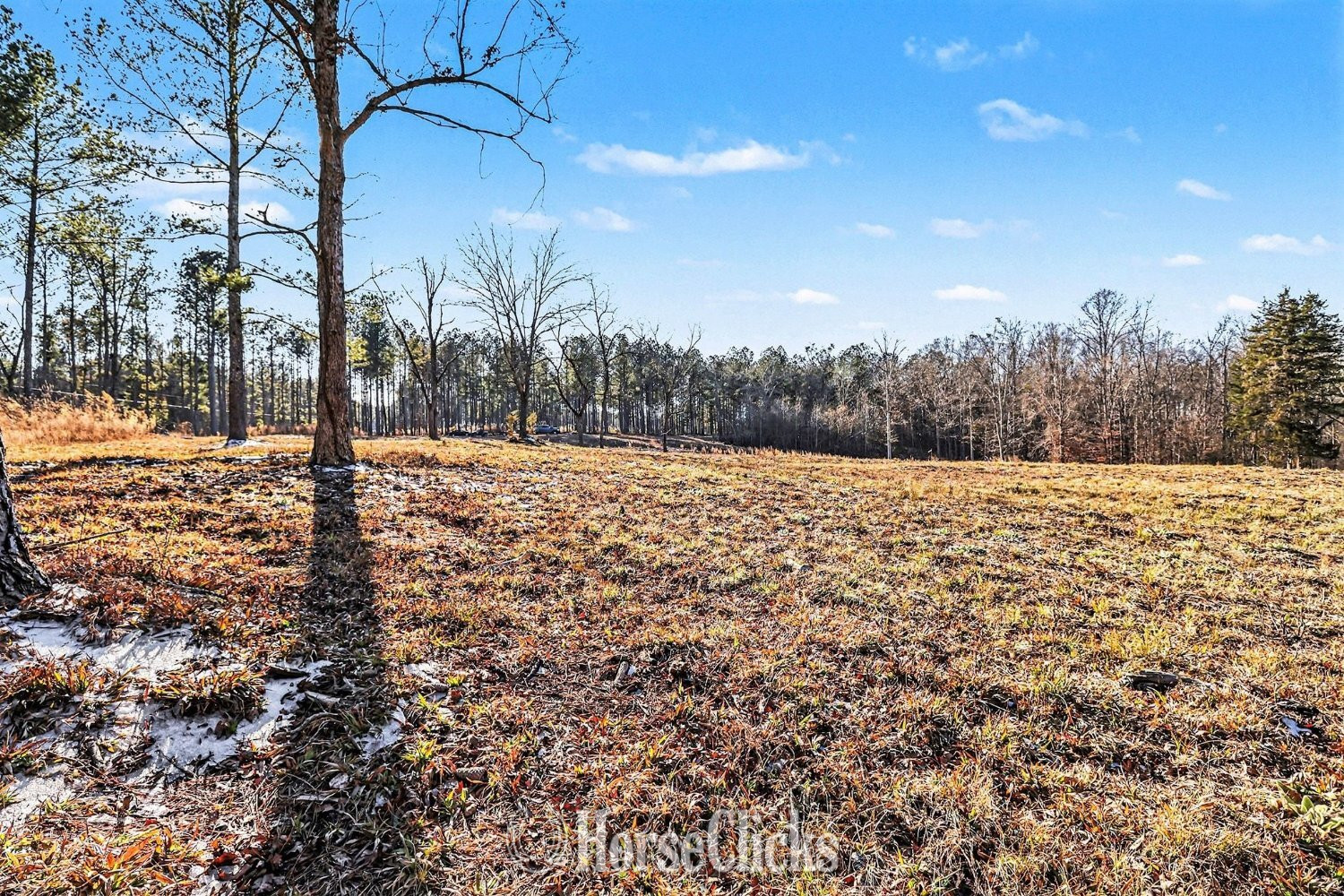 63 acres in Comer, GA - Land For Sale