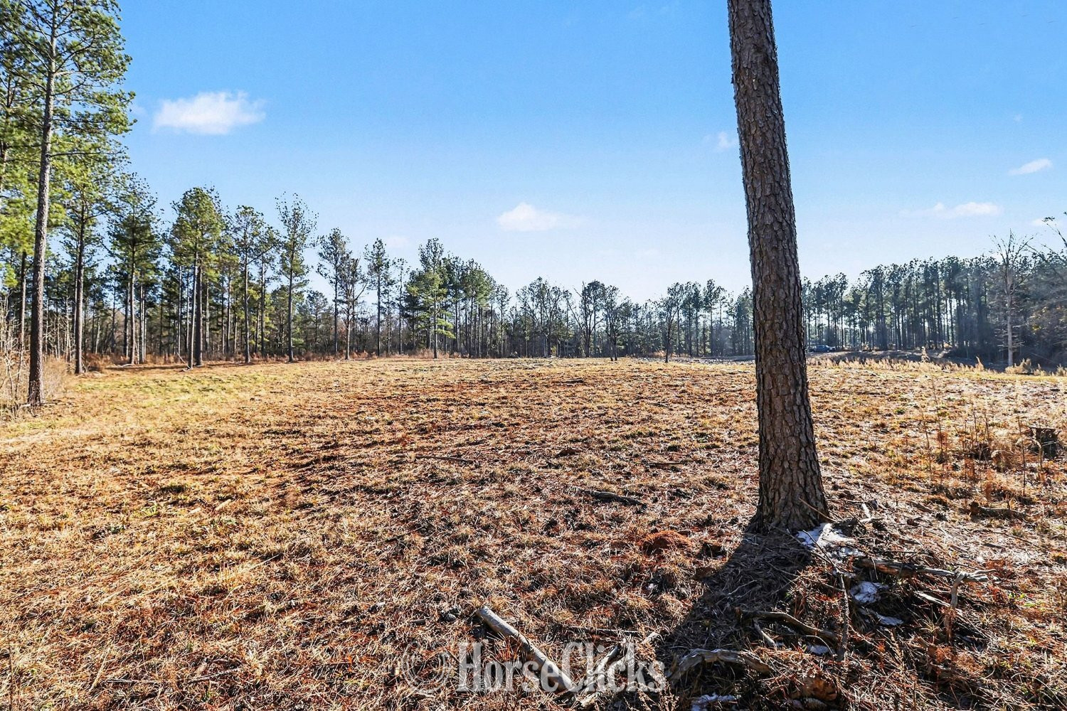 63 acres in Comer, GA Georgia