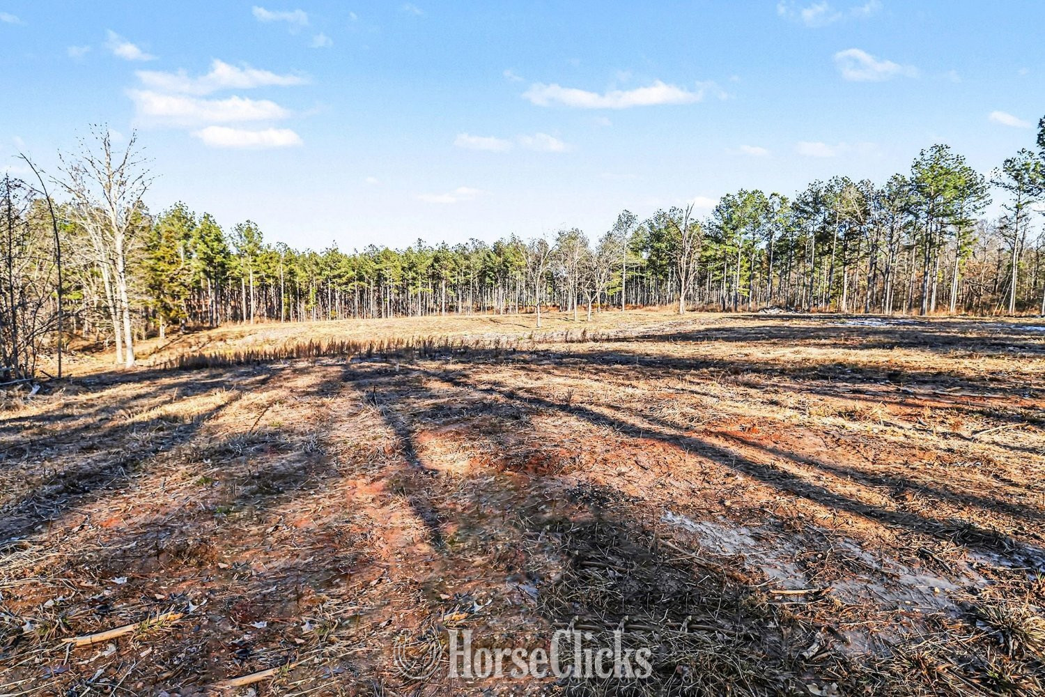 Land For Sale - 63 acres in Comer, GA in Georgia