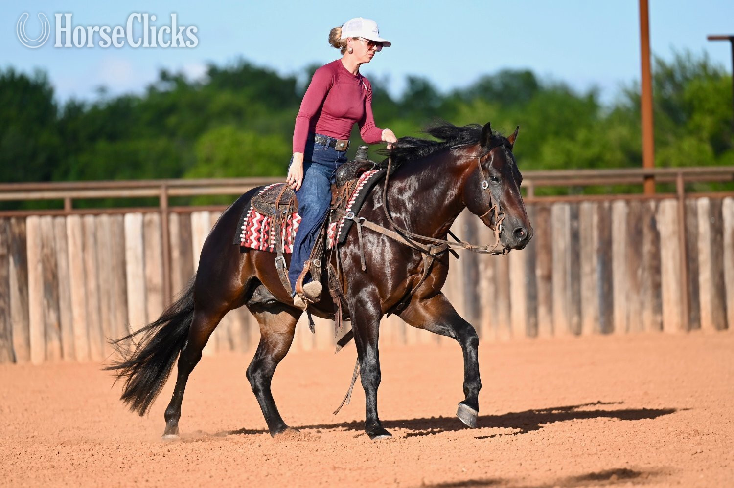 Texas "Wizard " Bay Stallion Quarter Horse
