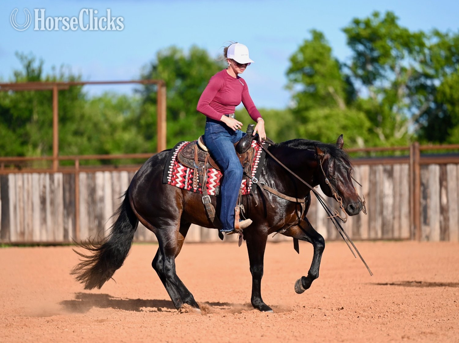 Quarter Horse - "Wizard " Bay Stallion Quarter Horse in Texas