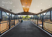 Equestrian Facility Professional layout and Income producer!