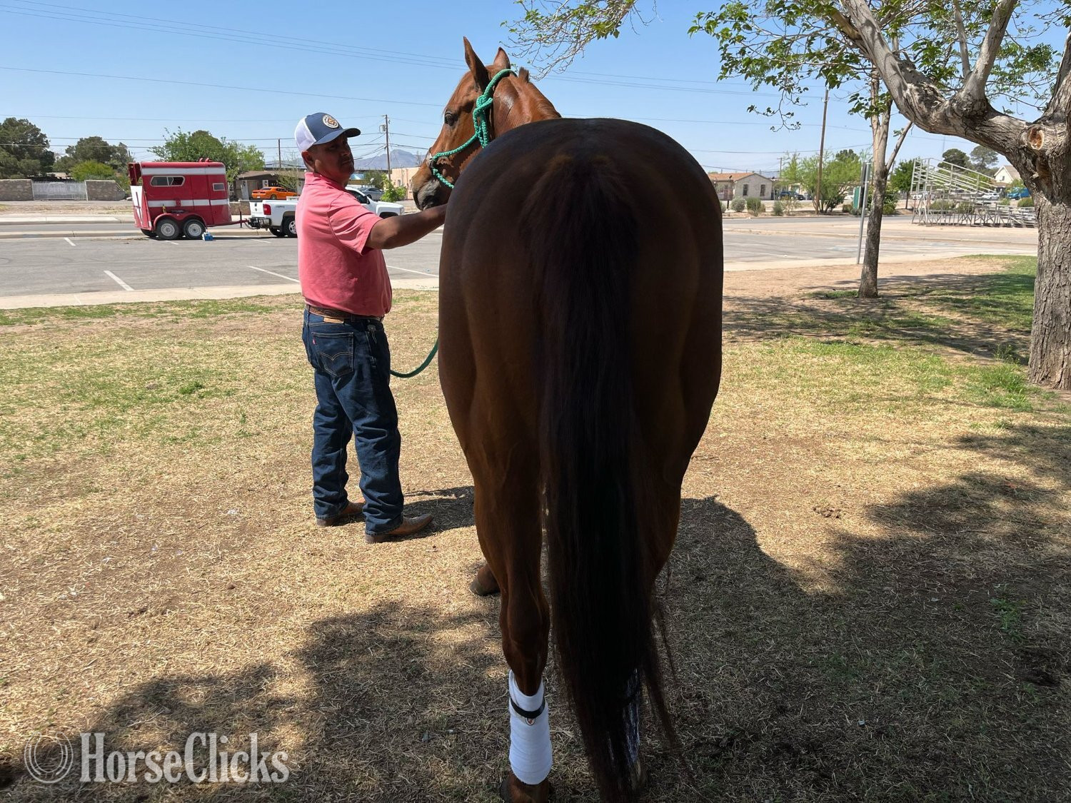 "Runaway Mr Jess" Sorrel Stallion Quarter Horse Texas