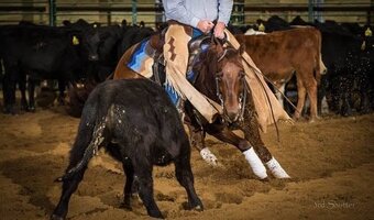 "Par Threes Freckle" Sorrel Mare Quarter Horse