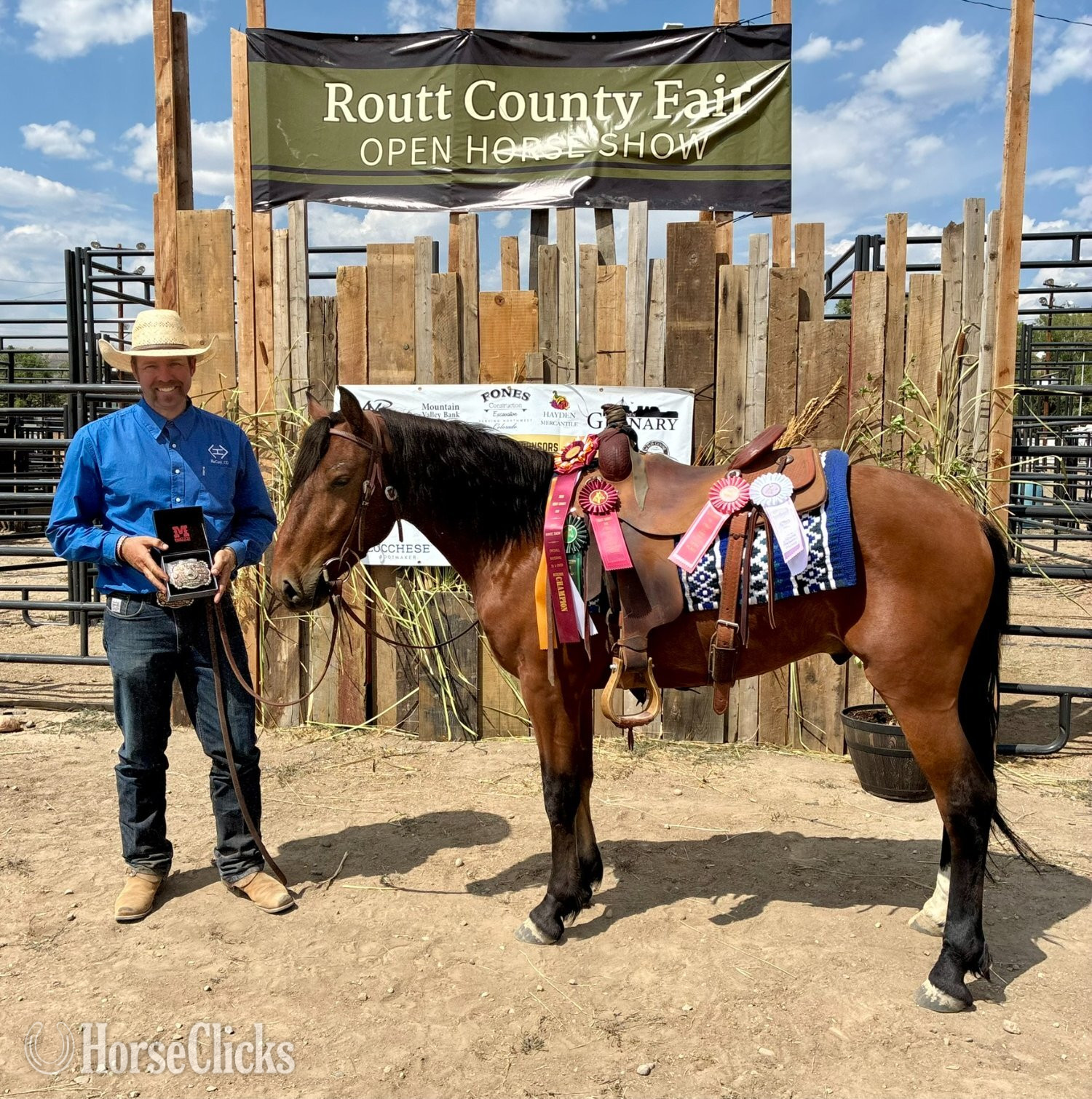 Colorado "Trooper" Bay Gelding Mustang