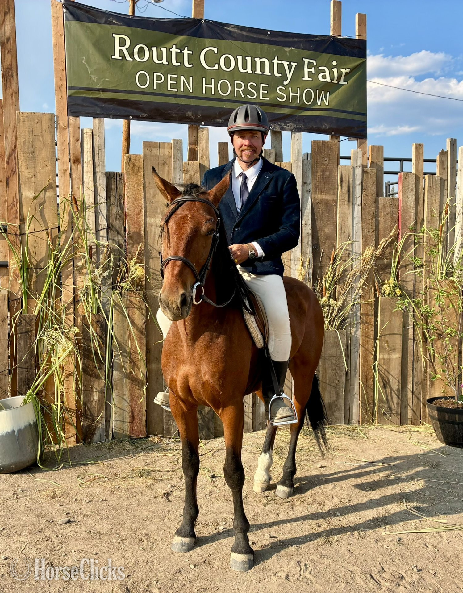 Mustang - "Trooper" Bay Gelding Mustang