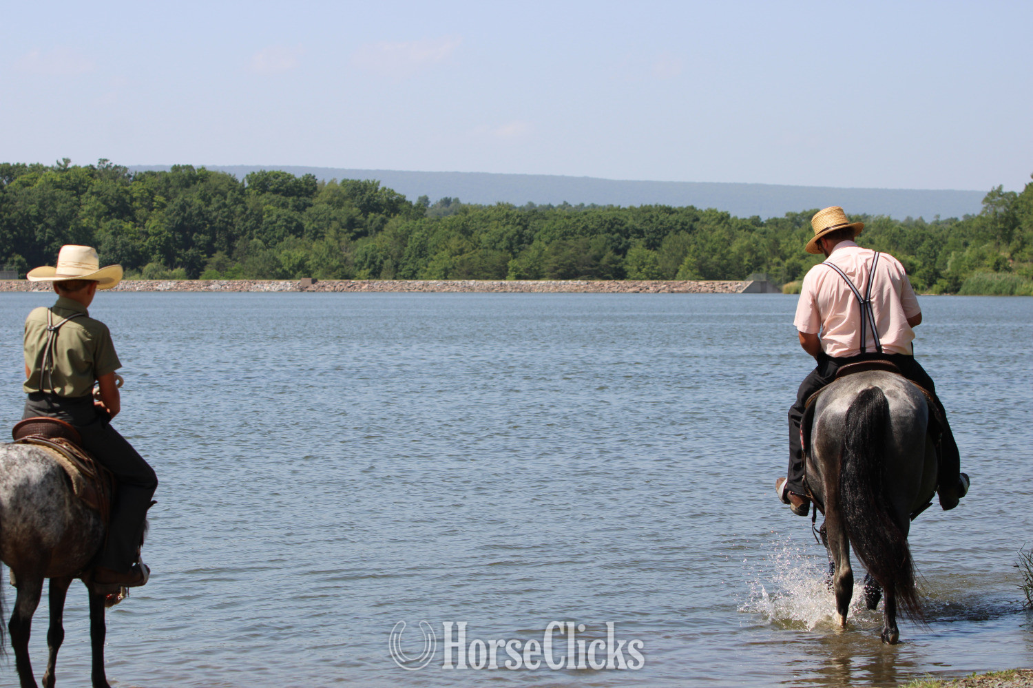 "KARI" Blue Roan Mare Tennessee Walker - Tennessee Walker in Pennsylvania