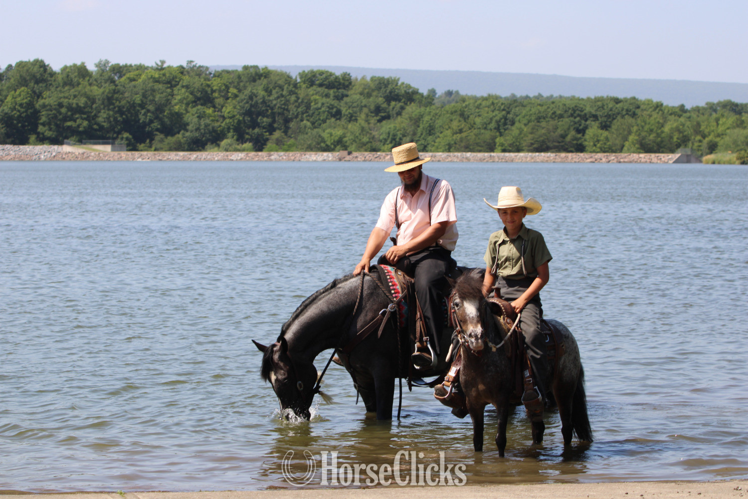 "KARI" Blue Roan Mare Tennessee Walker - Tennessee Walker
