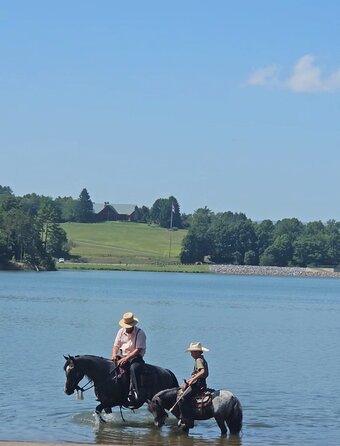 "KARI" Blue Roan Mare Tennessee Walker