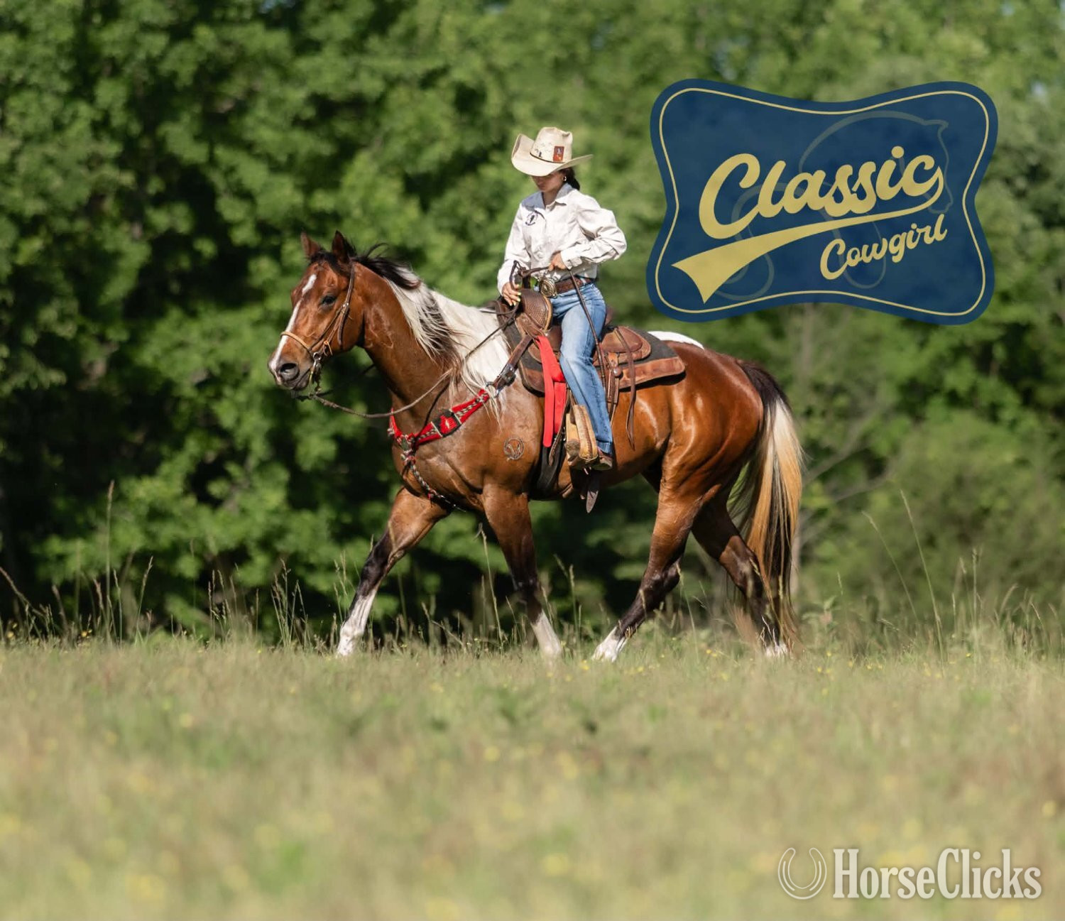 "JIMMY" Tabiano Gelding Paint