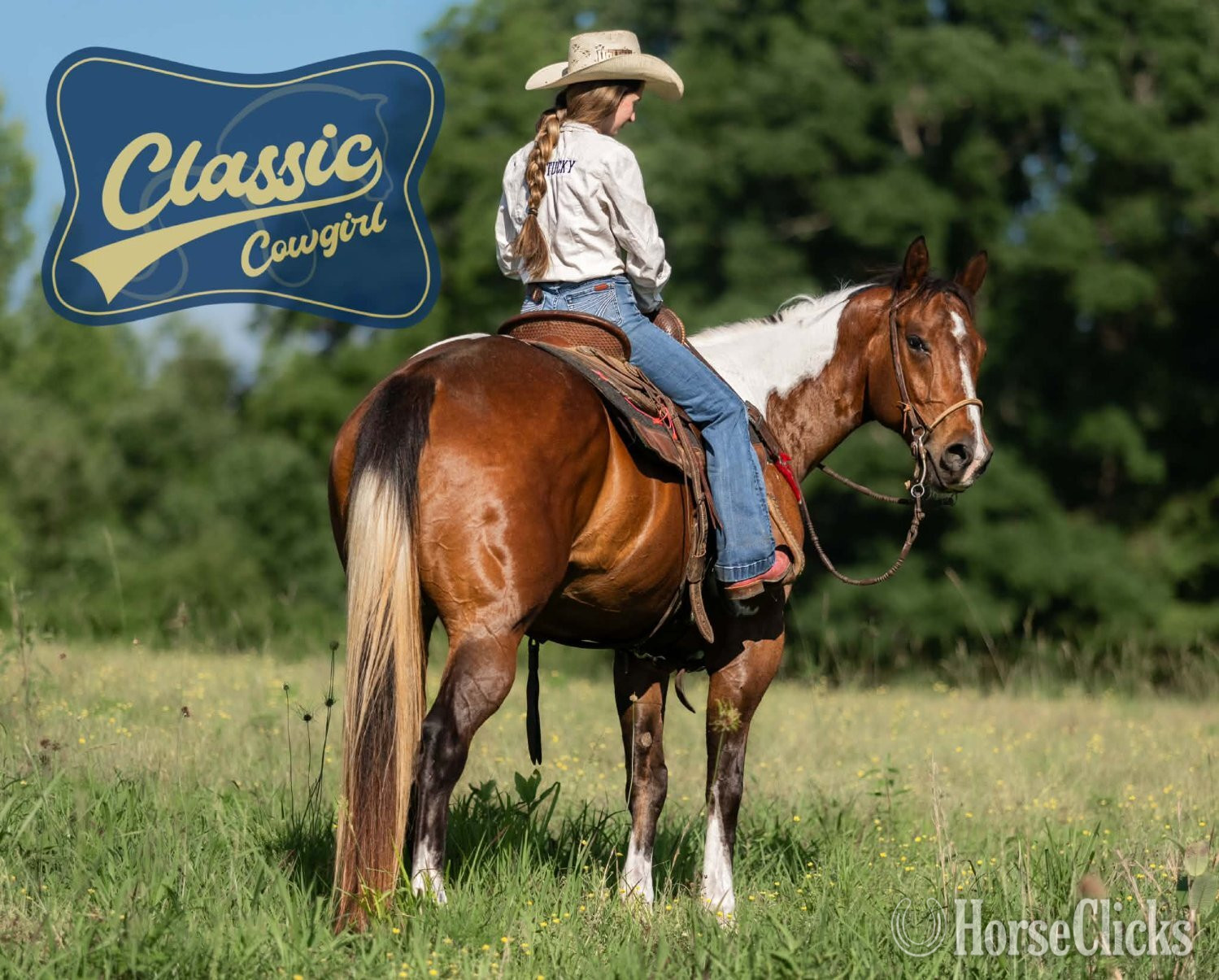 Kentucky "JIMMY" Tabiano Gelding Paint
