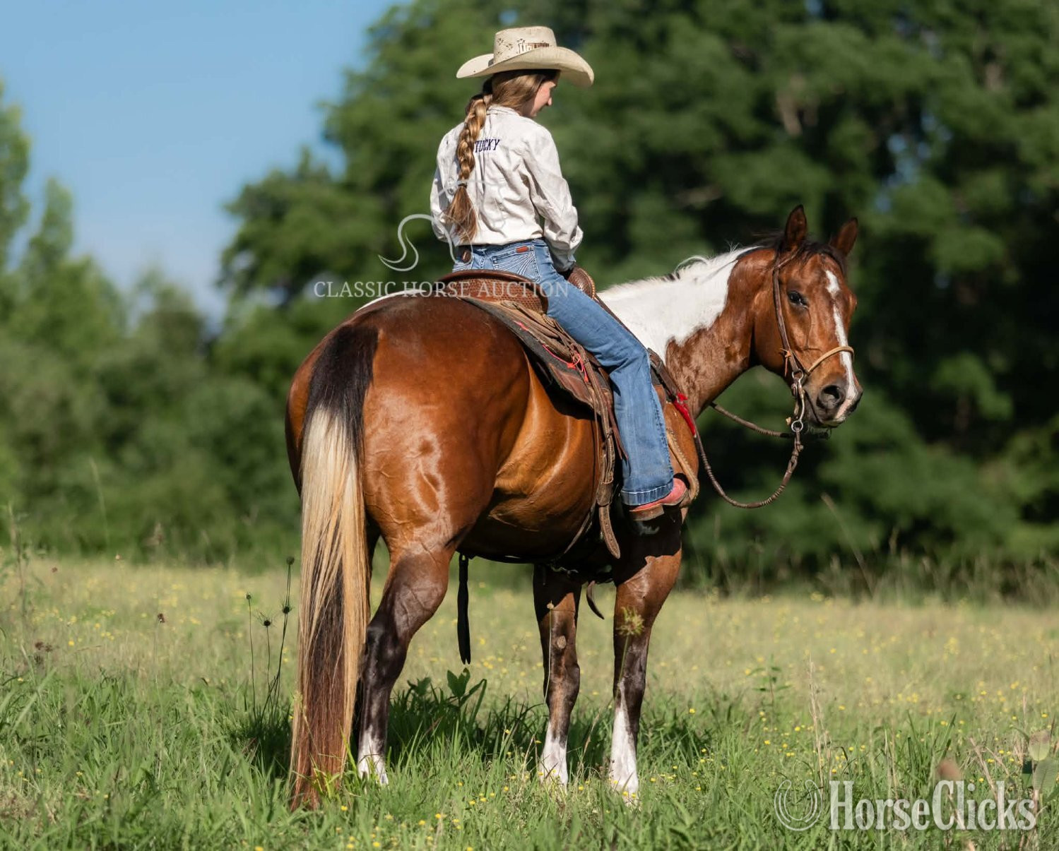 "JIMMY" Tabiano Gelding Paint - Paint