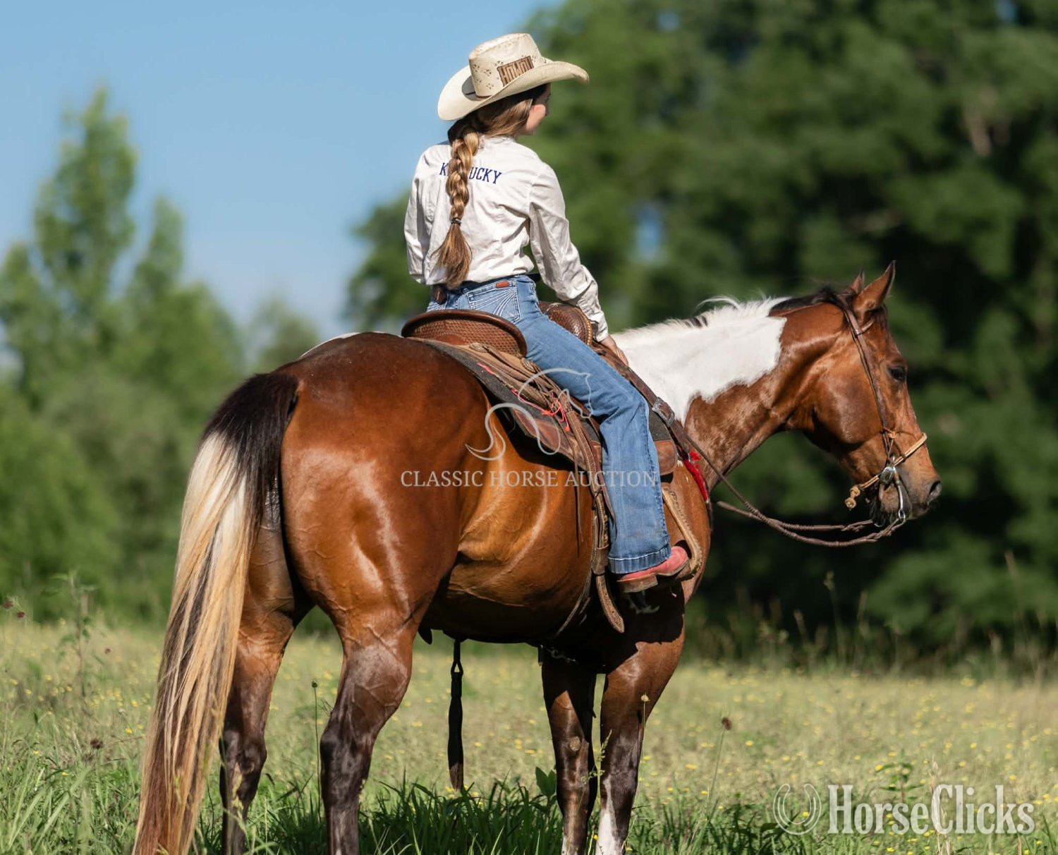 Paint - "JIMMY" Tabiano Gelding Paint
