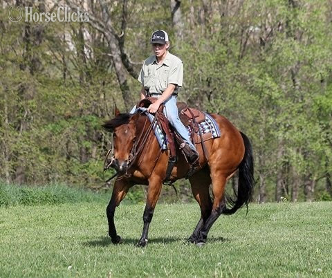 California "Dancer" Chestnut Mare Quarter Horse
