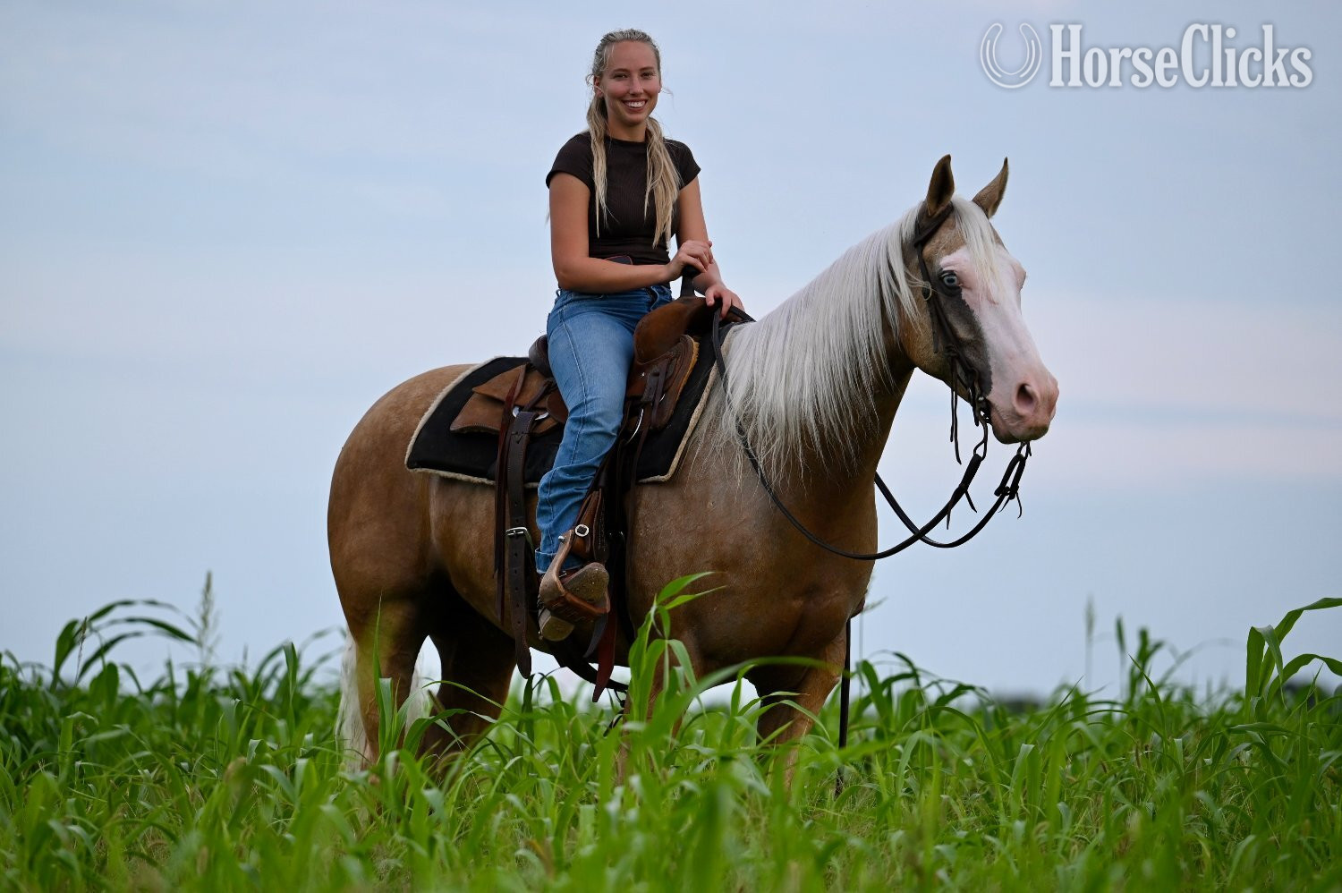 Texas "Capone " Palomino Gelding Quarter Horse