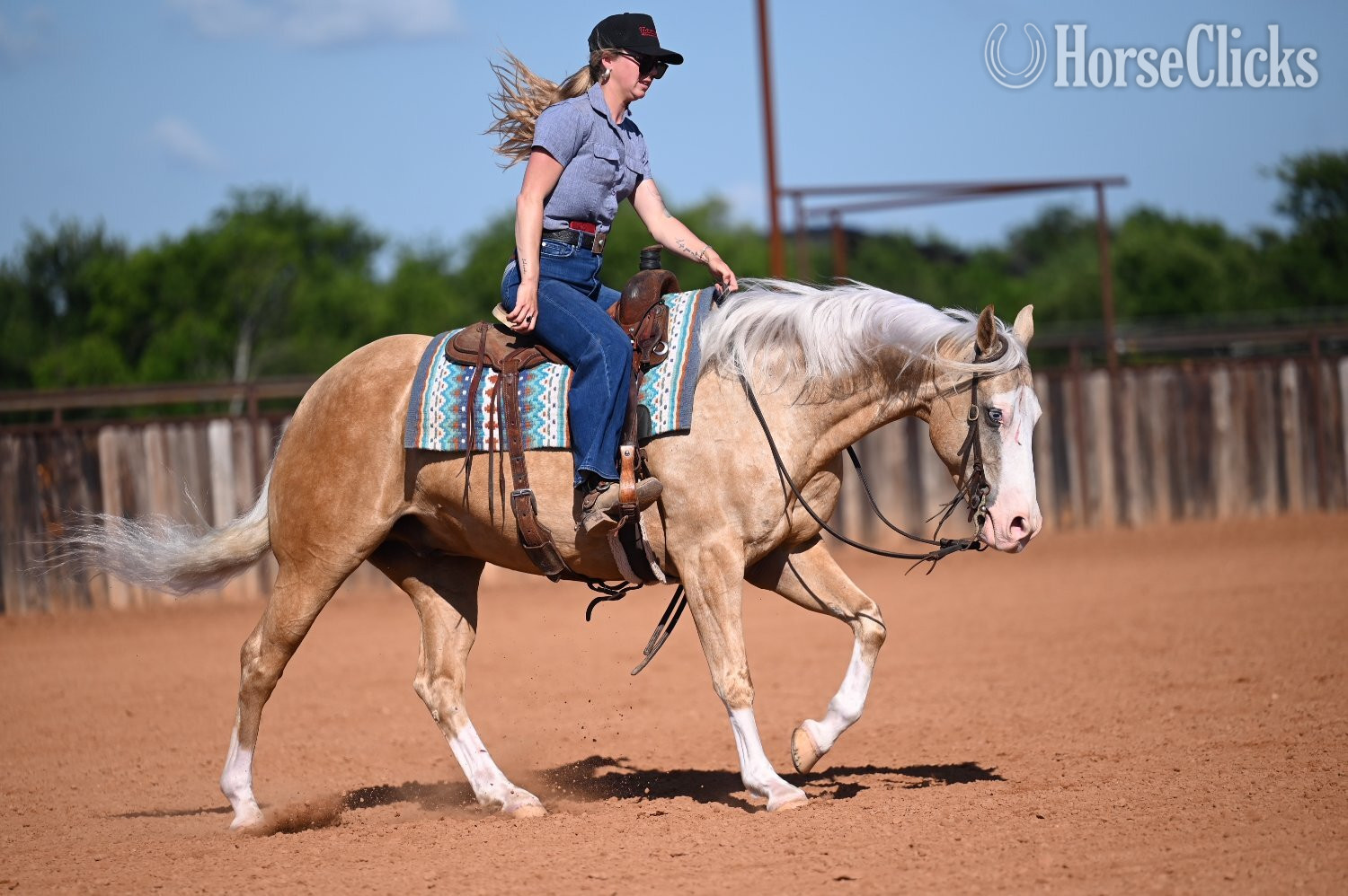 Quarter Horse - "Capone " Palomino Gelding Quarter Horse in Texas