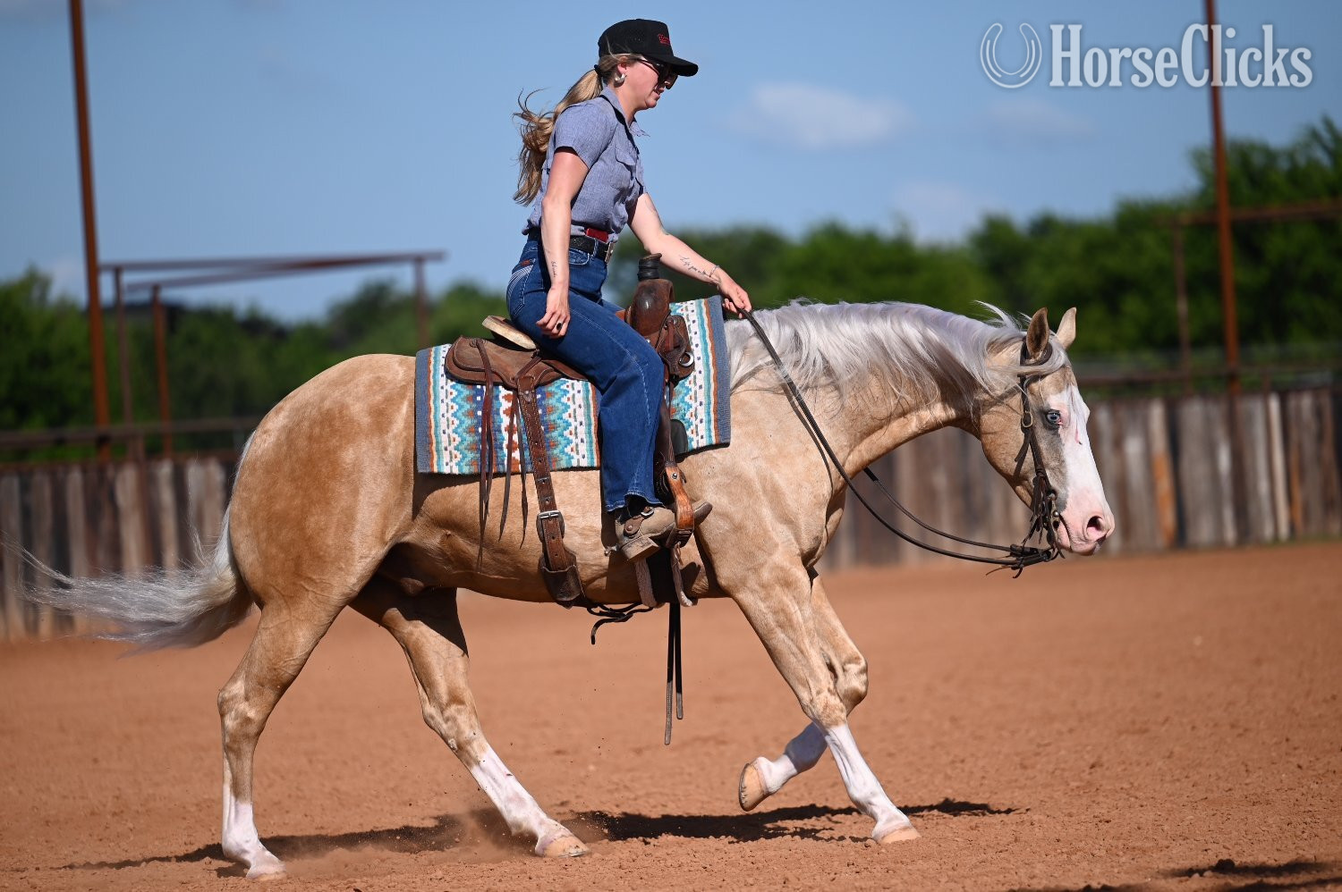 Quarter Horse - "Capone " Palomino Gelding Quarter Horse