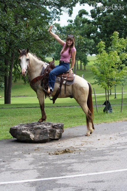"Baloo" Buckskin Gelding Quarter Pony in Missouri