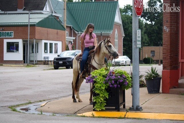 "Baloo" Buckskin Gelding Quarter Pony - Quarter Pony