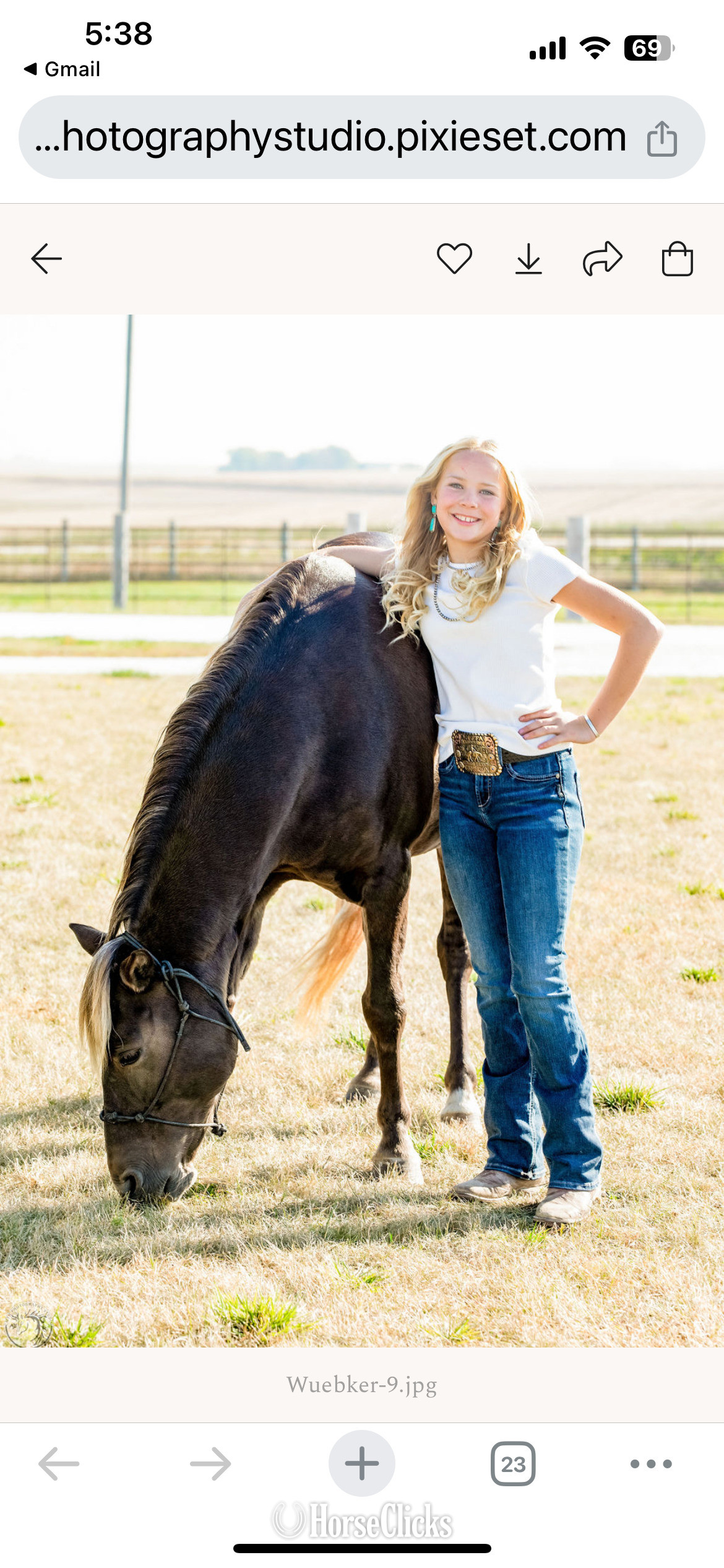Iowa "Marge" Palomino Mare Quarter Pony