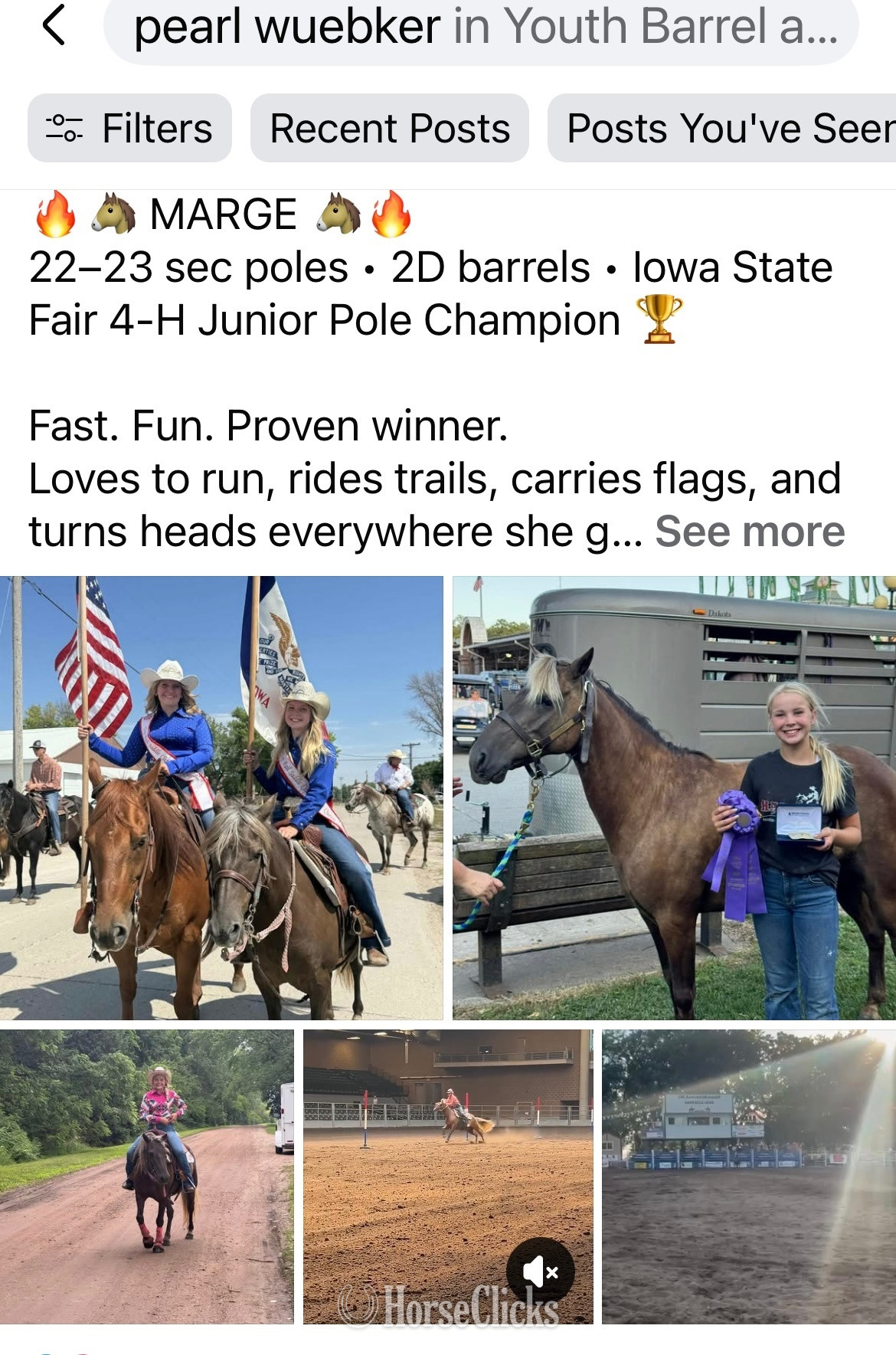 "Marge" Palomino Mare Quarter Pony - Quarter Pony in Iowa