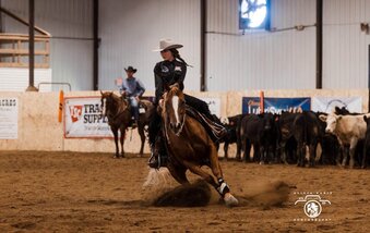 "ROYAL REY" Sorrel Mare Quarter Horse