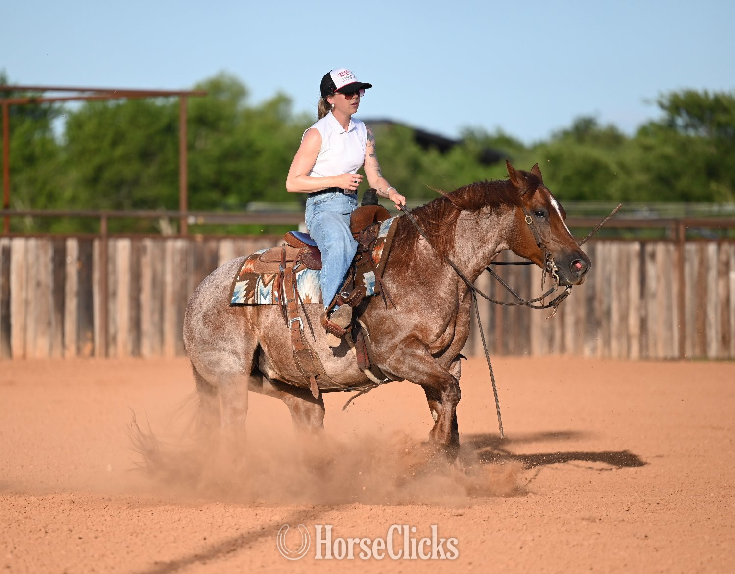 Texas "Yati" Red Roan Gelding Quarter Horse