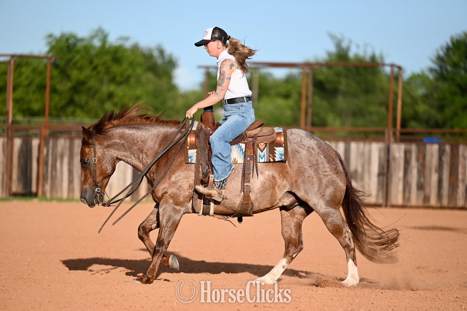 "Yati" Red Roan Gelding Quarter Horse - Quarter Horse in Texas