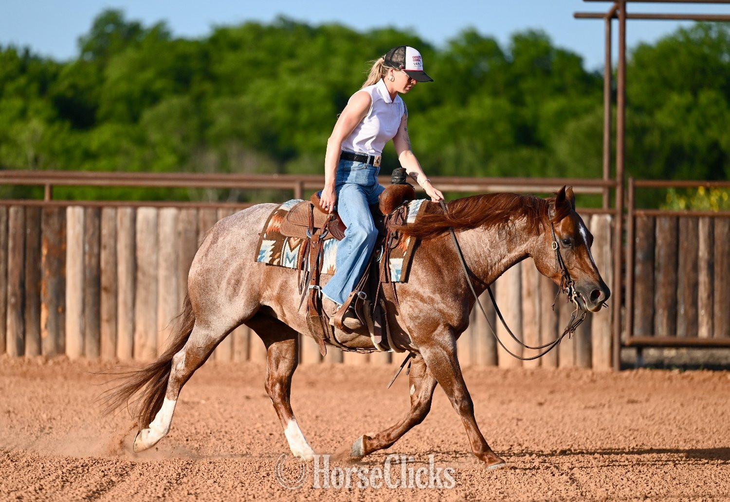 "Yati" Red Roan Gelding Quarter Horse - Quarter Horse