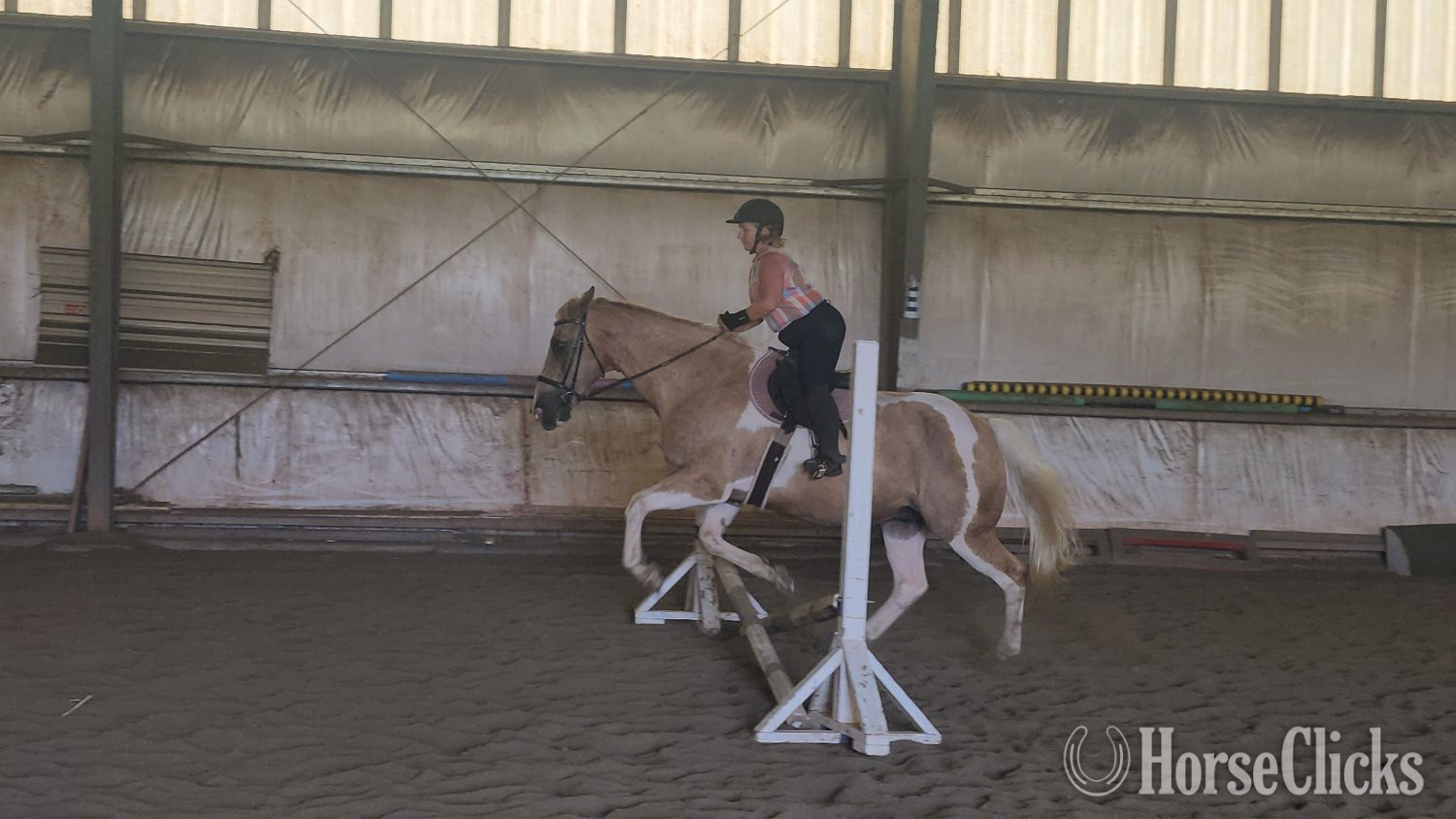 "Duncan the Hedge Knight" Palomino Gelding Paint