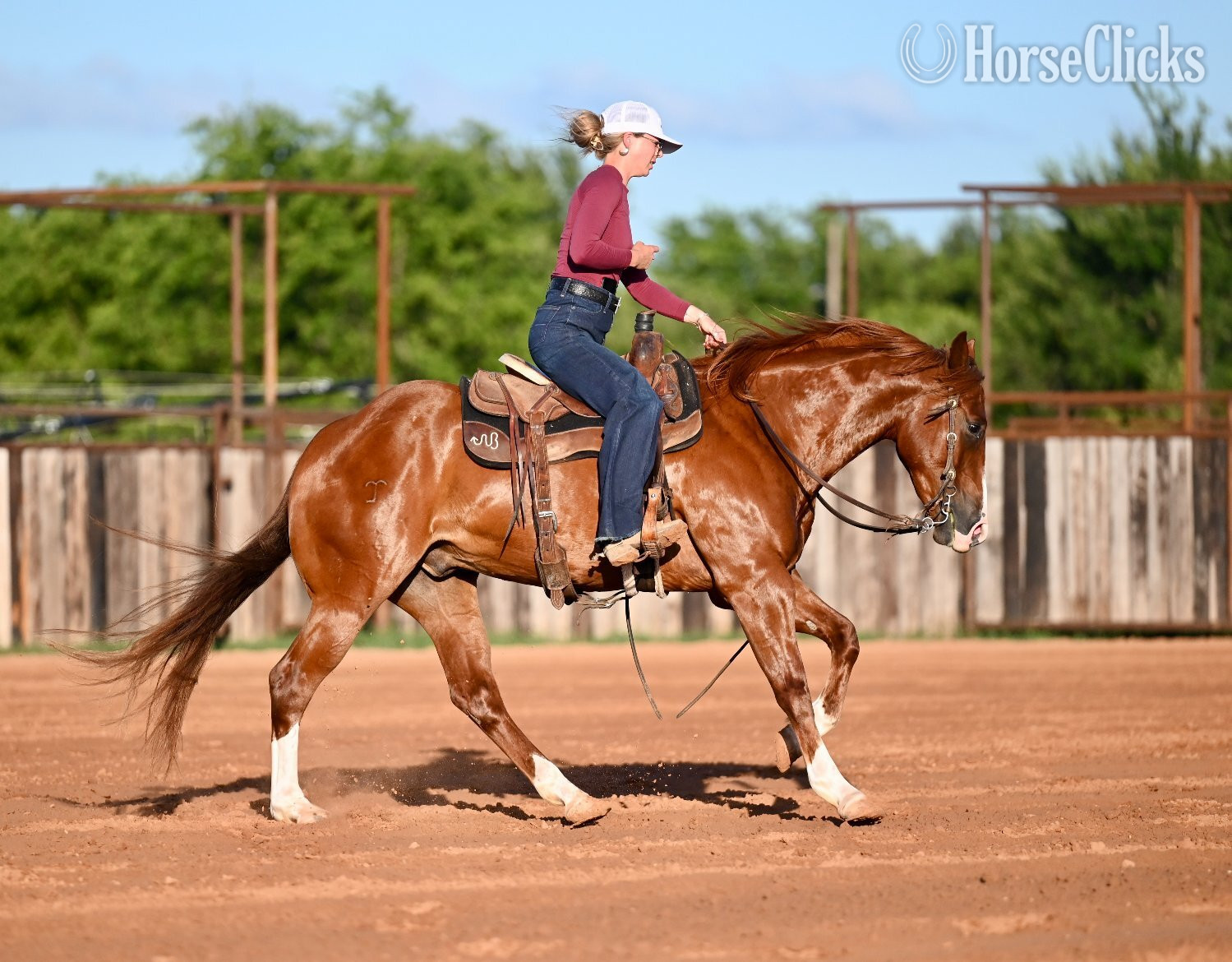 "Pac-Man" Sorrel Gelding Quarter Horse