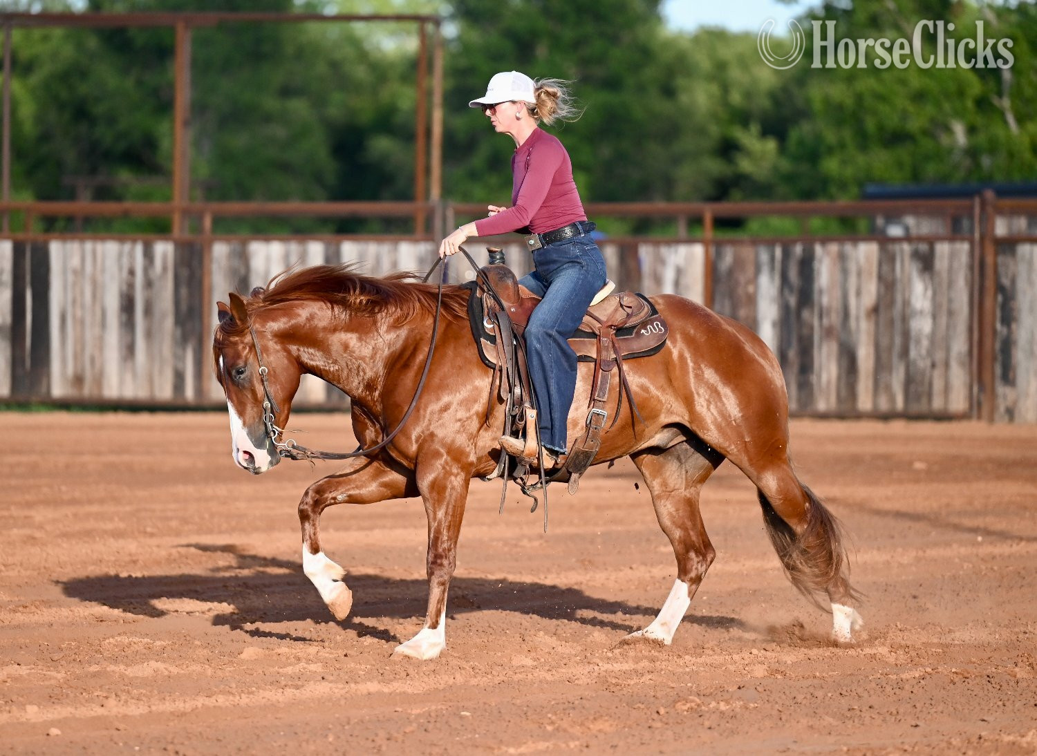 Texas "Pac-Man" Sorrel Gelding Quarter Horse