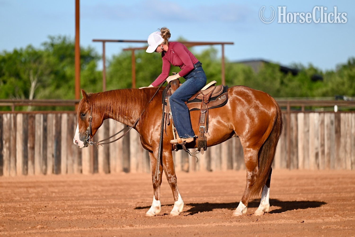 "Pac-Man" Sorrel Gelding Quarter Horse - Quarter Horse in Texas