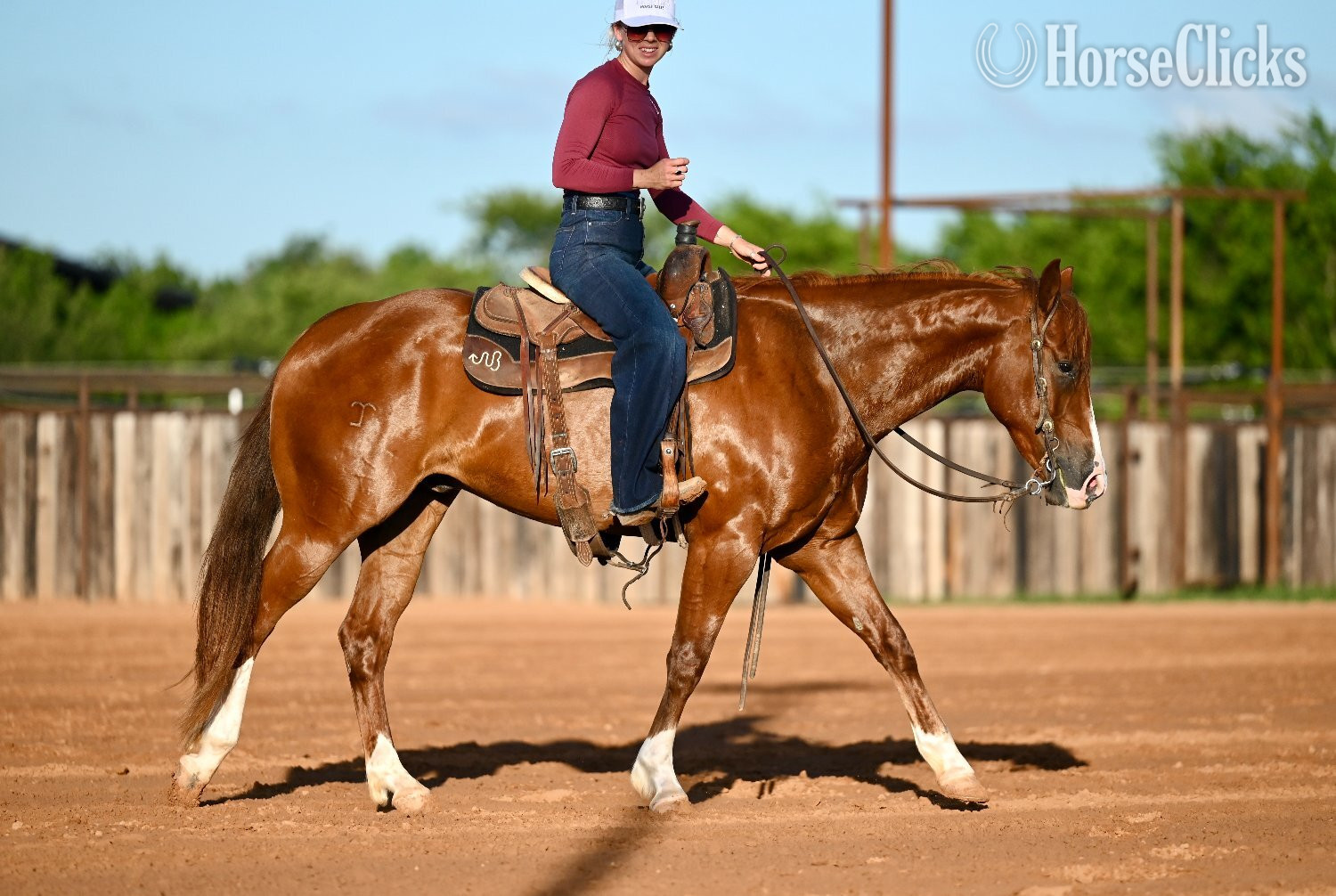 "Pac-Man" Sorrel Gelding Quarter Horse - Quarter Horse